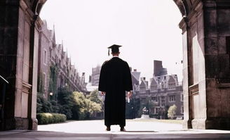 国外大学能不能转回国-在国外读本科的大学生可以转学回国内吗