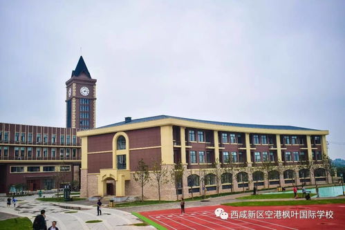 西安的国际学校都有哪些-陕西国际学校