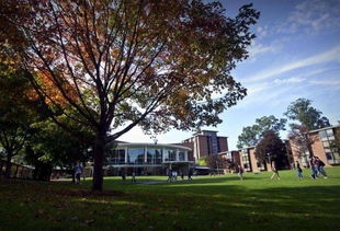 斯基德莫尔学院相当于国内什么大学-斯基德莫尔学院史上最全深度解析