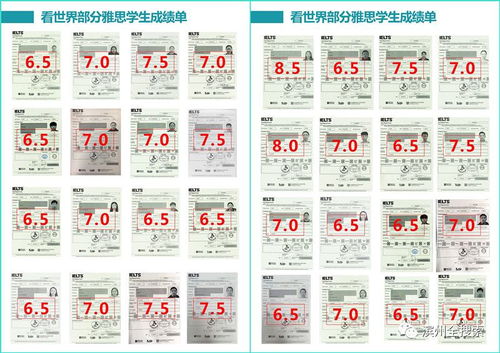 雅思考试几项-2018年雅思考试评分的几个方面