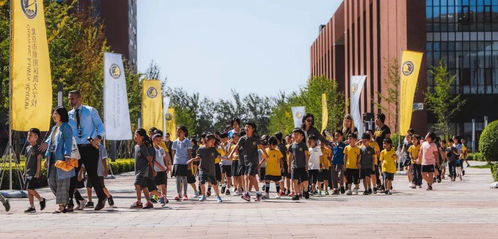 北京朝阳凯文学校学生人数-北京市朝阳区凯文学校