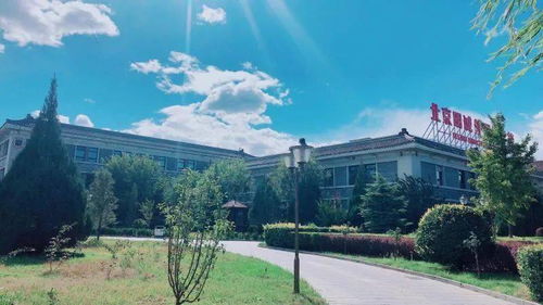 马泉营国际学校-北京国际学校学费一年多少