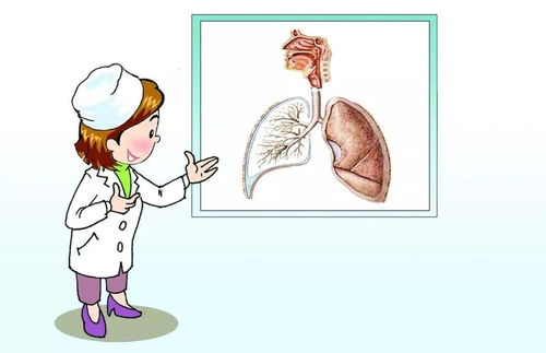 留学肺结核检查需要带什么东西-留学肺结核检查流程