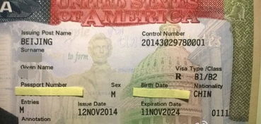 美国短期游学签证-申请美国签证