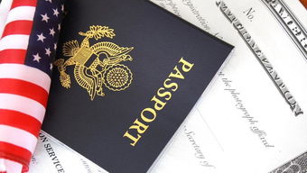 美国签证遗失怎么办理-申请美国签证