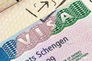 护照到期美签没到期-申请美国签证