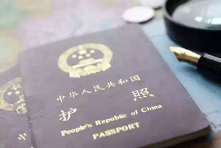 更改领护照领取地址-美国签证面签通过后如何加急领取护照
