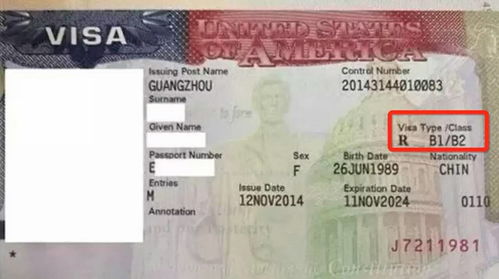 美国签证护照没有状态-申请美国签证