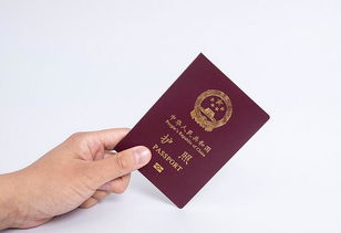 美国签证上传护照-申请美国签证