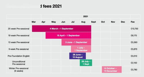 ual语言班要求-2020年艺术大学语言班要求