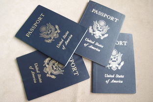 护照上哪个是签证号码-申请美国签证