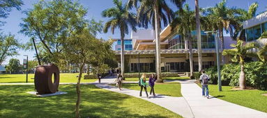迈阿密有什么好的大学-迈阿密大学相当于国内什么大学
