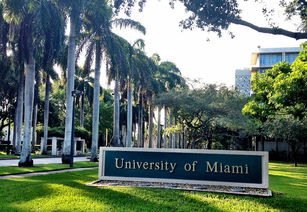 迈阿密有什么好的大学-迈阿密大学相当于国内什么大学
