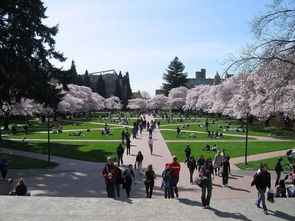 华盛顿大学中国留学生比例-华盛顿大学中国学生多