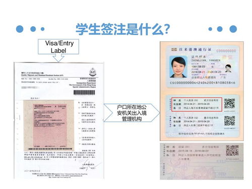 香港拿了签证还能换学校吗-换学校重新办签证吗