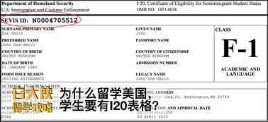 美国面签留下i20表格-美国留学生入学前该如何填写I