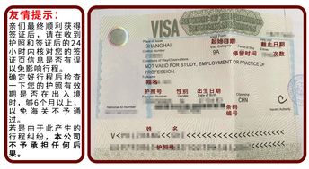 加急办理签证多少钱-哪里可以办理美国签证加急预约