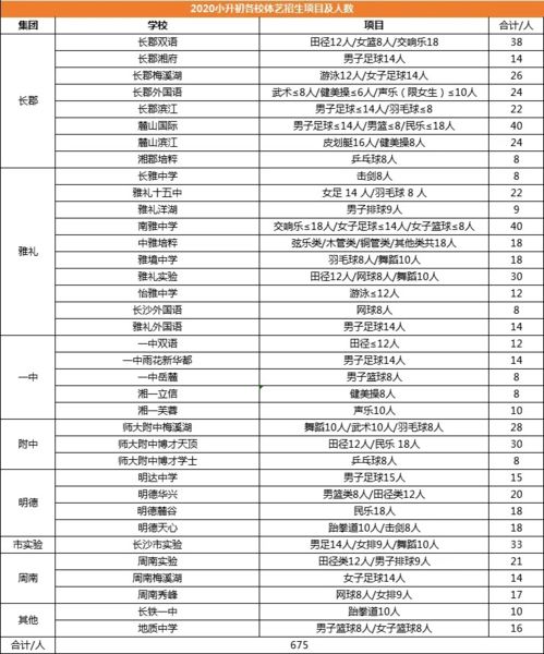 长沙外国语特色学校报名-长沙外国语学校国际部2021年招生咨询公告