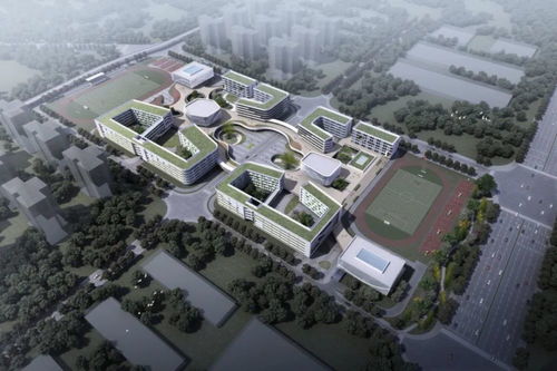 长沙市第一中学国际班-湖南长沙第一中学国际部2021年招生计划