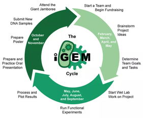 igem是不是大家都可以参加-我为什么参加IGEM大赛