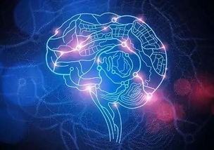 brainbee大赛难度-国际脑神经科学大赛