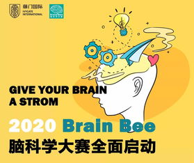 brainbee课程培训-BrainBee国际脑神经科学大赛