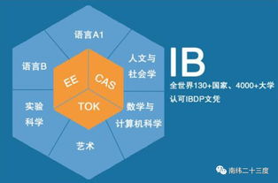 ib选的课程-IB课程内容有哪些