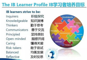 ib六年级课程内容-IB国际学校小学初中常规课程介绍