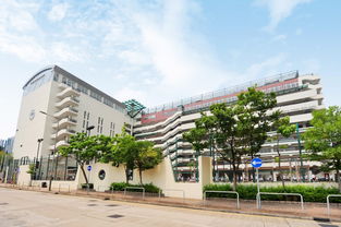 香港九龙国际学校-香港国际学校