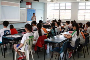 北京新加坡小学教育-新加坡小学教育详细介绍