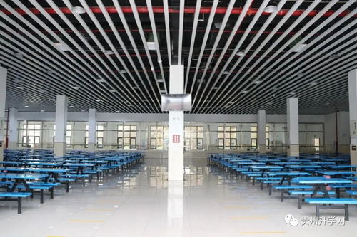 贵阳北大附属实验学校排名-北大附属实验学校2020年高考成绩喜报