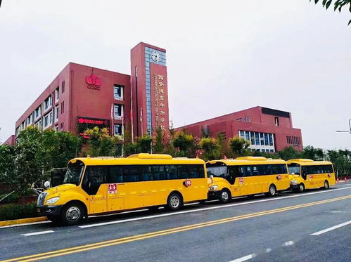 沣东中加国际学校待遇怎么样-西安沣东中加学校的师资情况如何