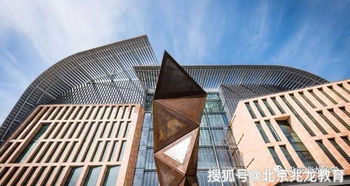 ucl大学什么专业最好-2020年大学学院世界排名最好的专业是哪个