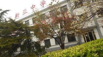 北京中杉学校是私立的吗-北京中杉学校2021年招生简章