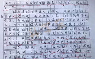 雅思大作文超过300字-雅思大作文一般都要求多少字