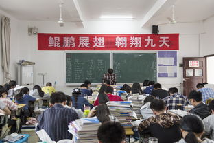 六力国际学校武清高考复读-六力国际学校天津武清校区学费一年多少