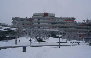 ulm大学-乌尔姆大学介绍