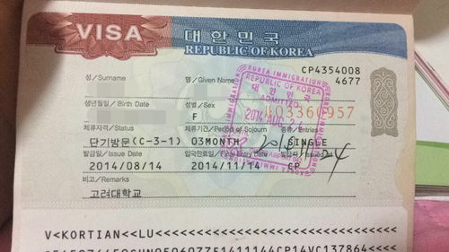 代取签证需要什么证件-申请美国签证