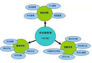 物流与供应链管理硕士就业-物流与供应链管理理学硕士申请、就业全解析