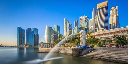 新加坡国立数量金融成功率-我是如何一步步拿到定量金融录取的