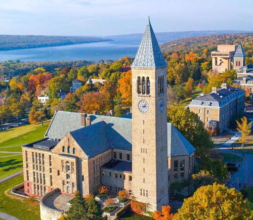 cornell sc johnson college-cornell sc johnson college