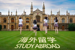美国大学图片高清-美国大学分布图中文版