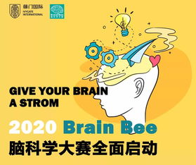 brainbee2020比赛时间-关于举办2020年BrainBee脑科学大赛全国赛的通知
