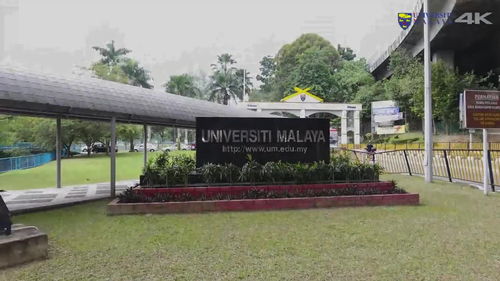 马来亚大学研究生要求-2020年马来亚大学条件是什么