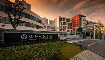 上海国际学校四校八大-2018上海国际学校中“四大名校八大金刚”地位被颠覆