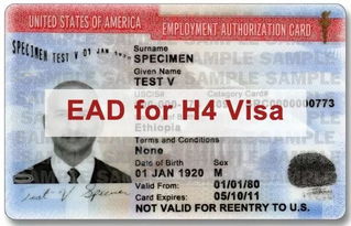 美国工作签证配偶可以工作吗-申请美国签证