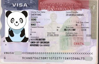 美国签证opt摇号-申请美国签证时