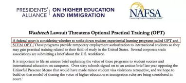 申请移民对opt影响吗-美国留学移民政策又要有变动