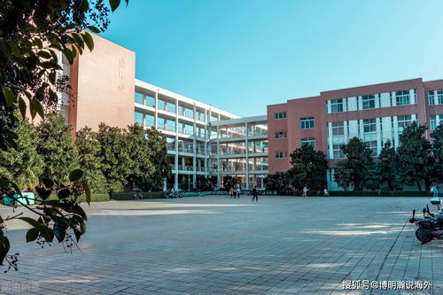 杭州国际学校是私立还是公立-公办国际班与民办国际学校区别