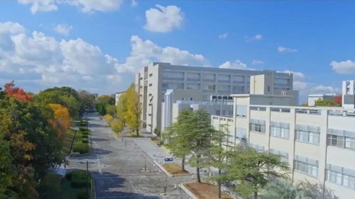 京都府立大学录取条件-2020年京都府立大学条件是什么